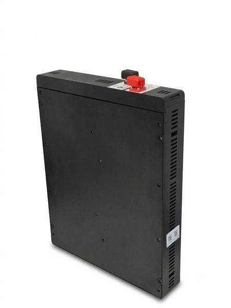 Акумуляторний блок LiFePO4 51.2V 3kWh (5.1 кВт) з BMS для інверторів та ДБЖ SKU-00361 фото