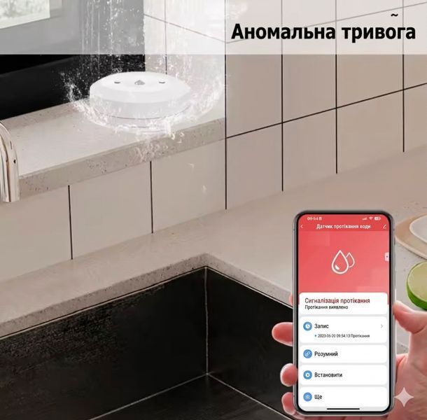 Розумний бездротовий датчик витоку та затоплення води Zigbee, водонепроникний IP68 SKU-00229 фото